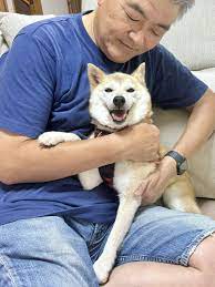 Family Shiba 4
